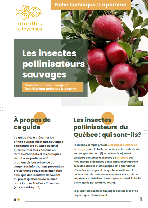 Fiche pomme Abeilles citoyennes