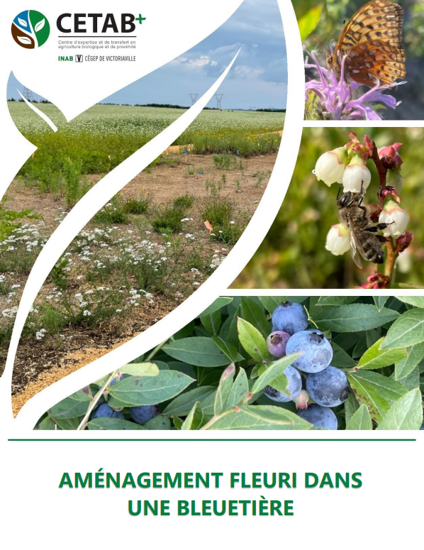 Aménagement fleuri Bleuetière