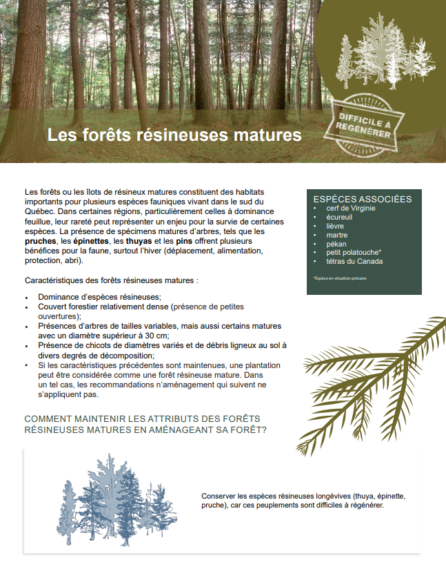 Fiche forêt résineuses - GFQ - CNC