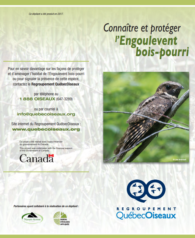 Fiche engoulevent bois-pourri - Quebec Oiseaux