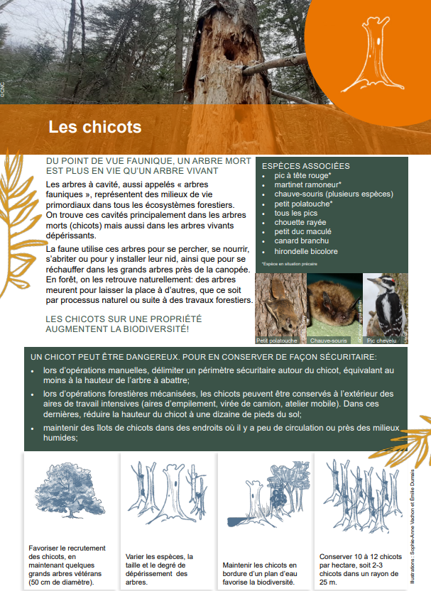 Fiche chicots FPFQ - CNC