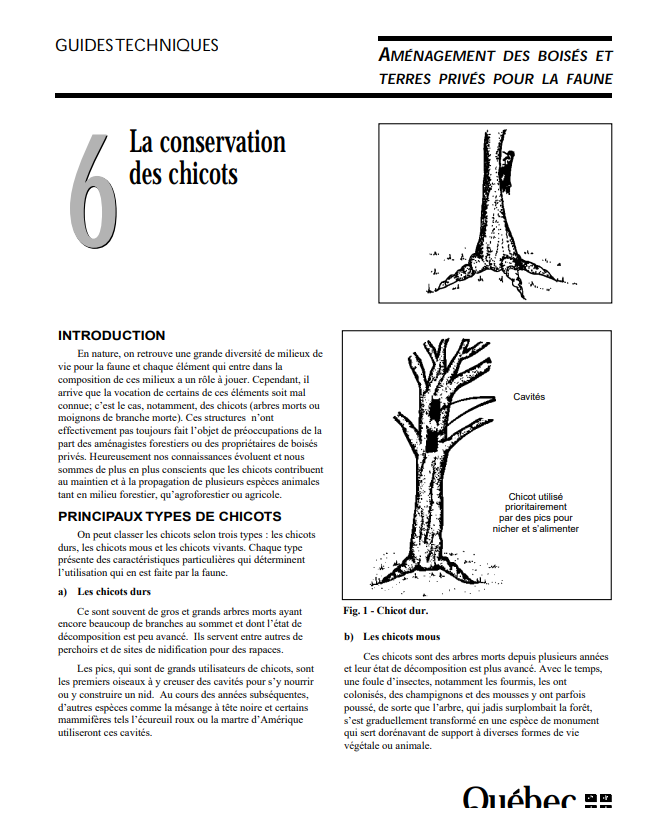 Fiche chicot MRN, MEF, FFQ