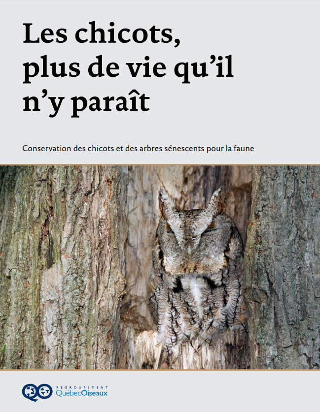 Guide conservation des chicots Quebec Oiseaux