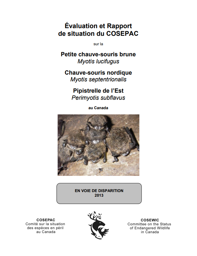 Rapport COSEPAC