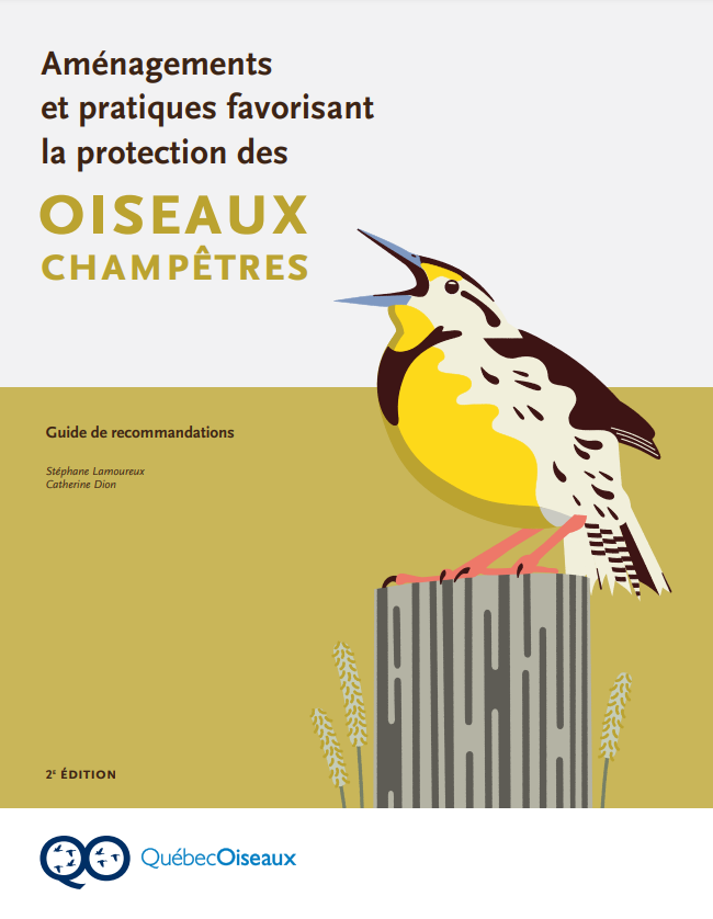 Amenagéments oiseaux Québec Oiseaux