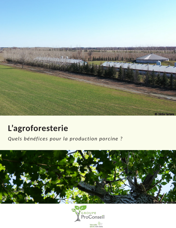 Fiche Agroforestrie Porcin, ProConseil