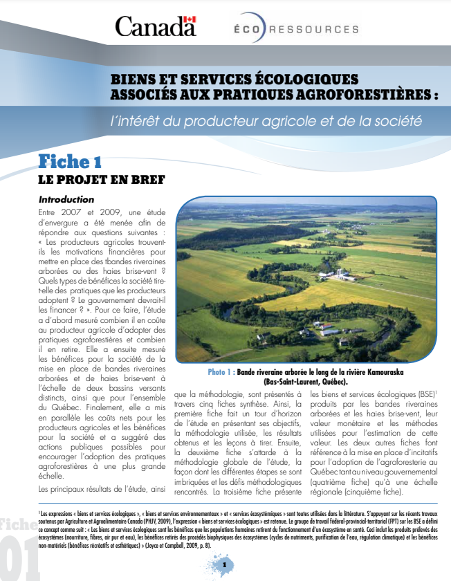 fiches - BSE et pratiques agroforestières - Écoressources