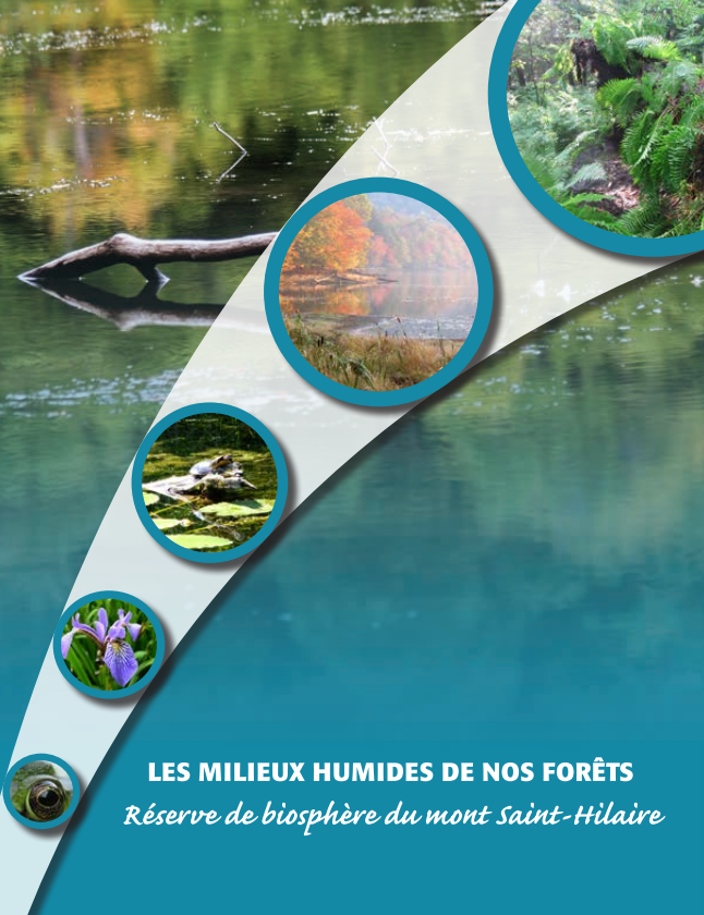 Guide Milieux humides - Connexion Nature