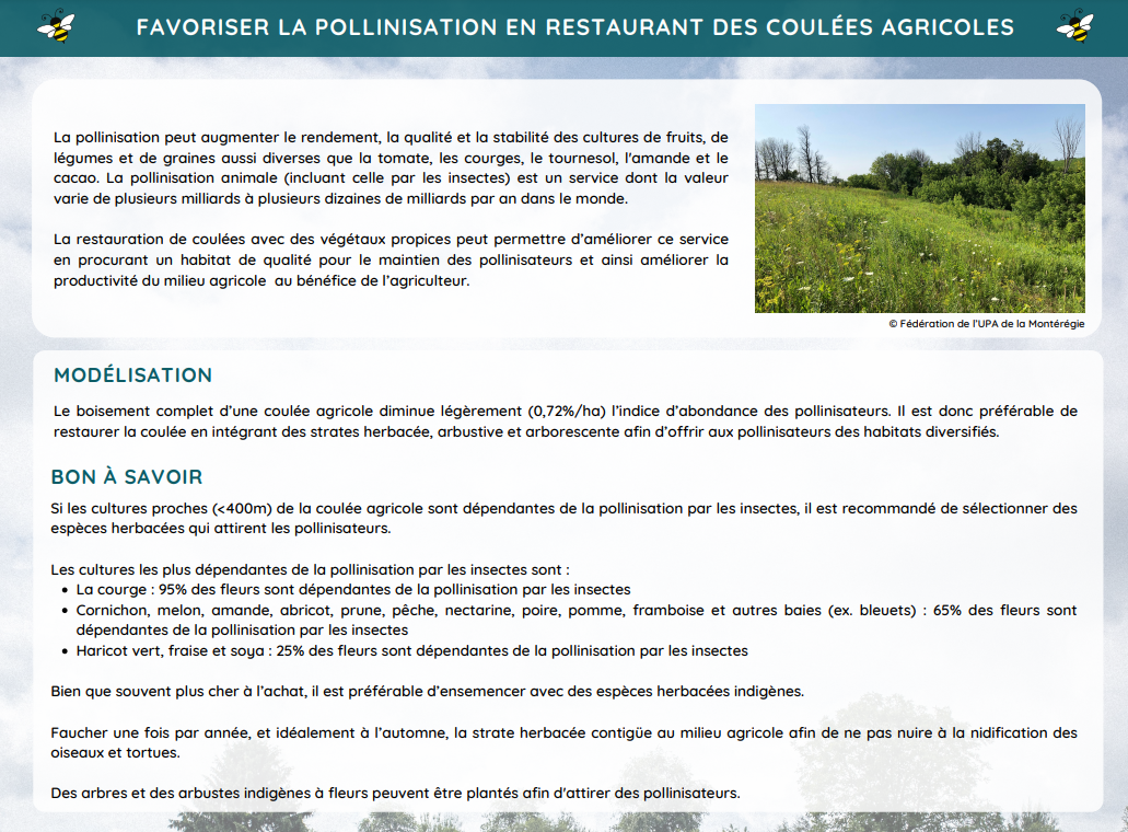 Fiche Pollinisation coulées - Habitat