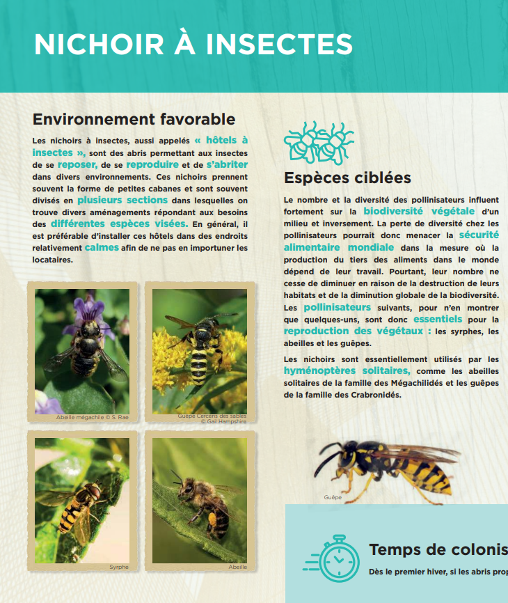 Nichoirs à insectes NAQ