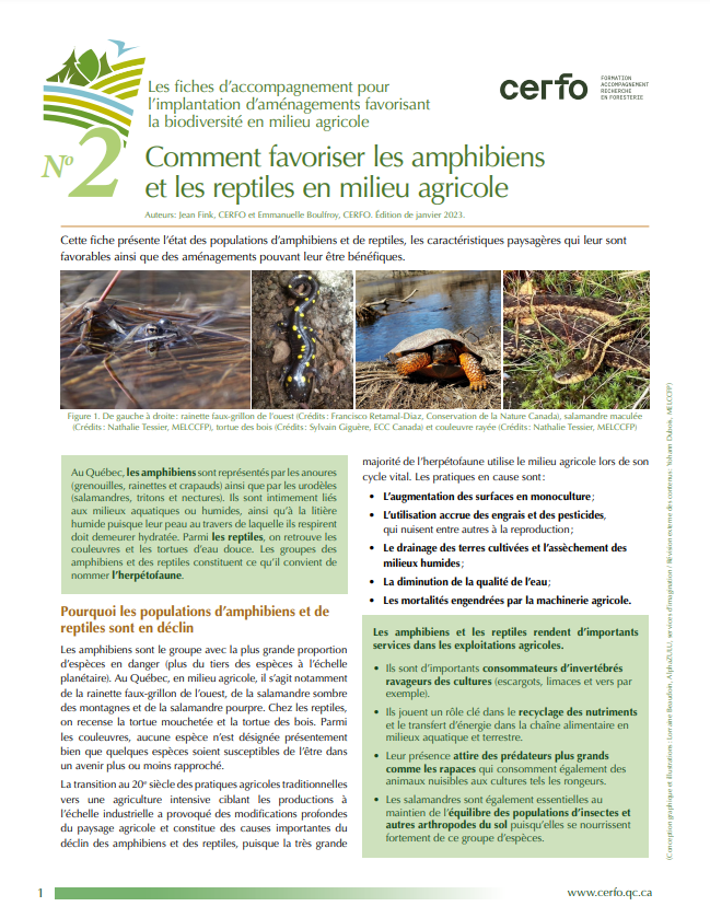 image guide amphibiens et reptiles CERFO