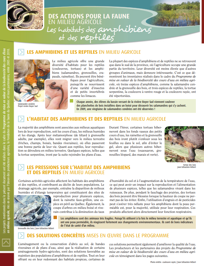 Guide amphibiens et reptiles UPA